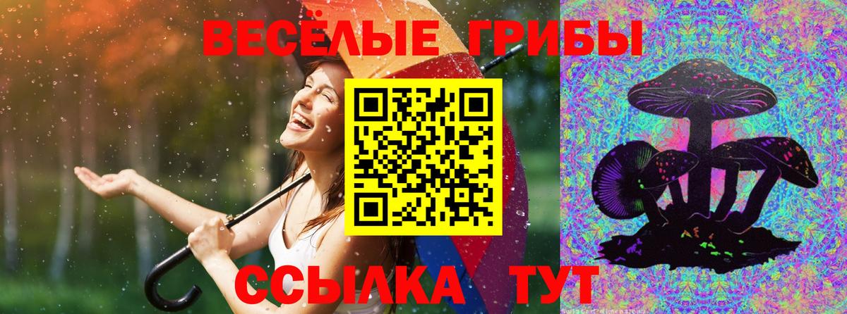 купить наркотик  Галлюциногенные грибы GOLDEN TEACHER  Вход с VPN  Холмск 